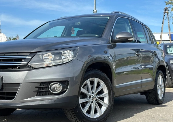 Volkswagen Tiguan cena 53900 przebieg: 190528, rok produkcji 2013 z Kalisz Pomorski małe 781